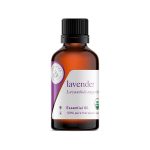 Essential Oil Filling Machine ضروری تیل بھرنے والی مشین